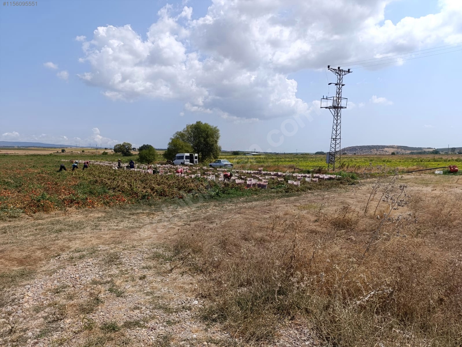 BURSA KARACABEY ÇAVUŞ KÖYÜNDE  3.000  M² TARLA SATILIKTIR - BURSA KARACABEY fotoğraf 13